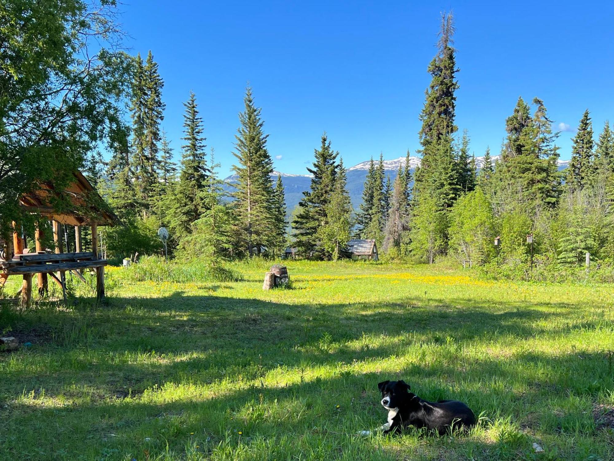 Little Atlin Lodge Tagish Екстер'єр фото